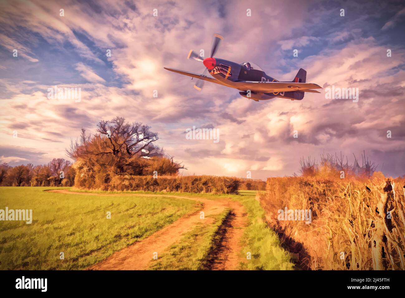 RAF P51 Mustang performing a low pass over the English countryside. Stock Photo