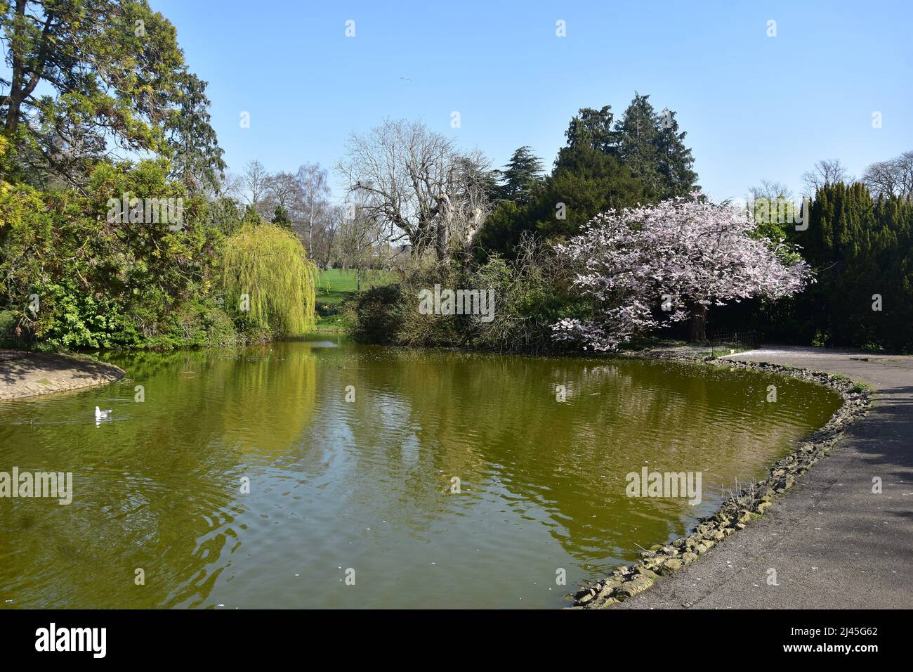 Royal Victoria Park, Bath, United Kingdom Stock Photo Alamy