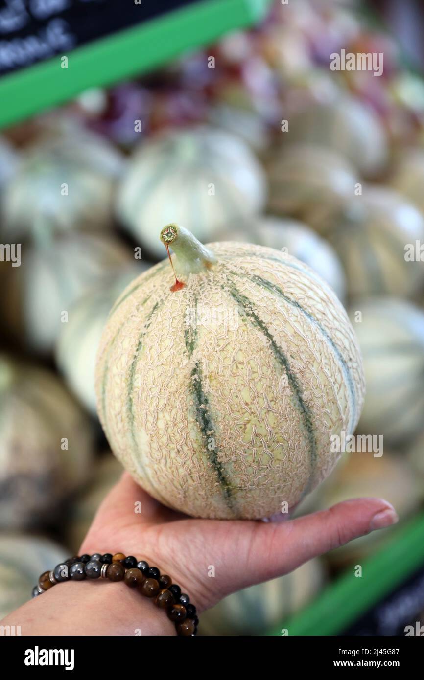 Melon in the fruit and vegetable counter of a producer’s cooperative shop, local distribution network Stock Photo