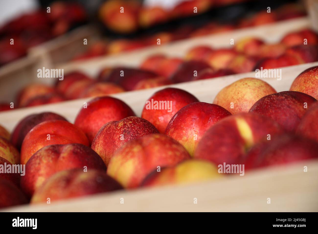 Villeneuve-sur-Lot (south-western France): fruits on a market stall, nectarines Stock Photo