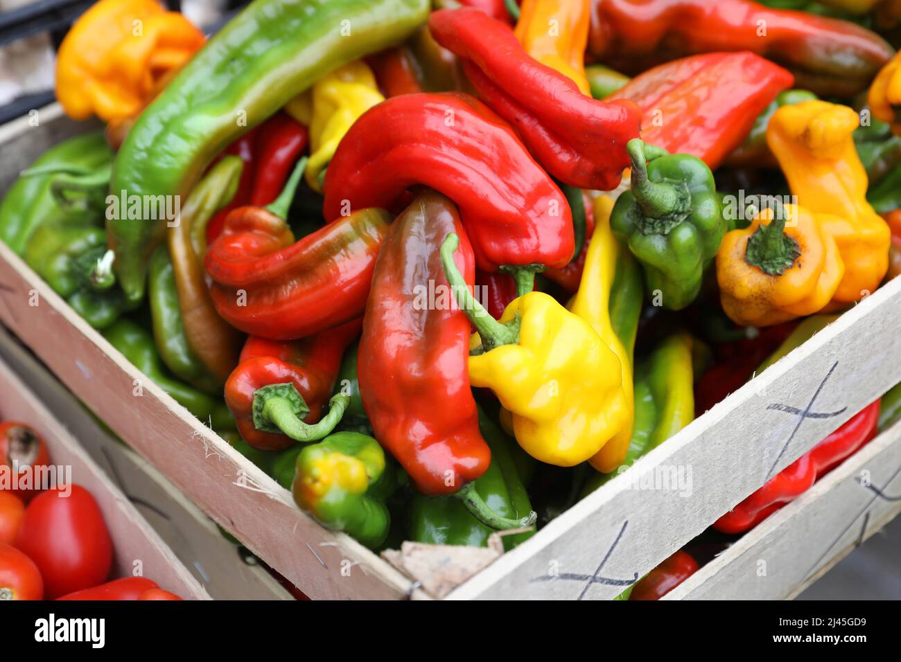 Villeneuve-sur-Lot (south-western France): organic peppers on a market stall Stock Photo