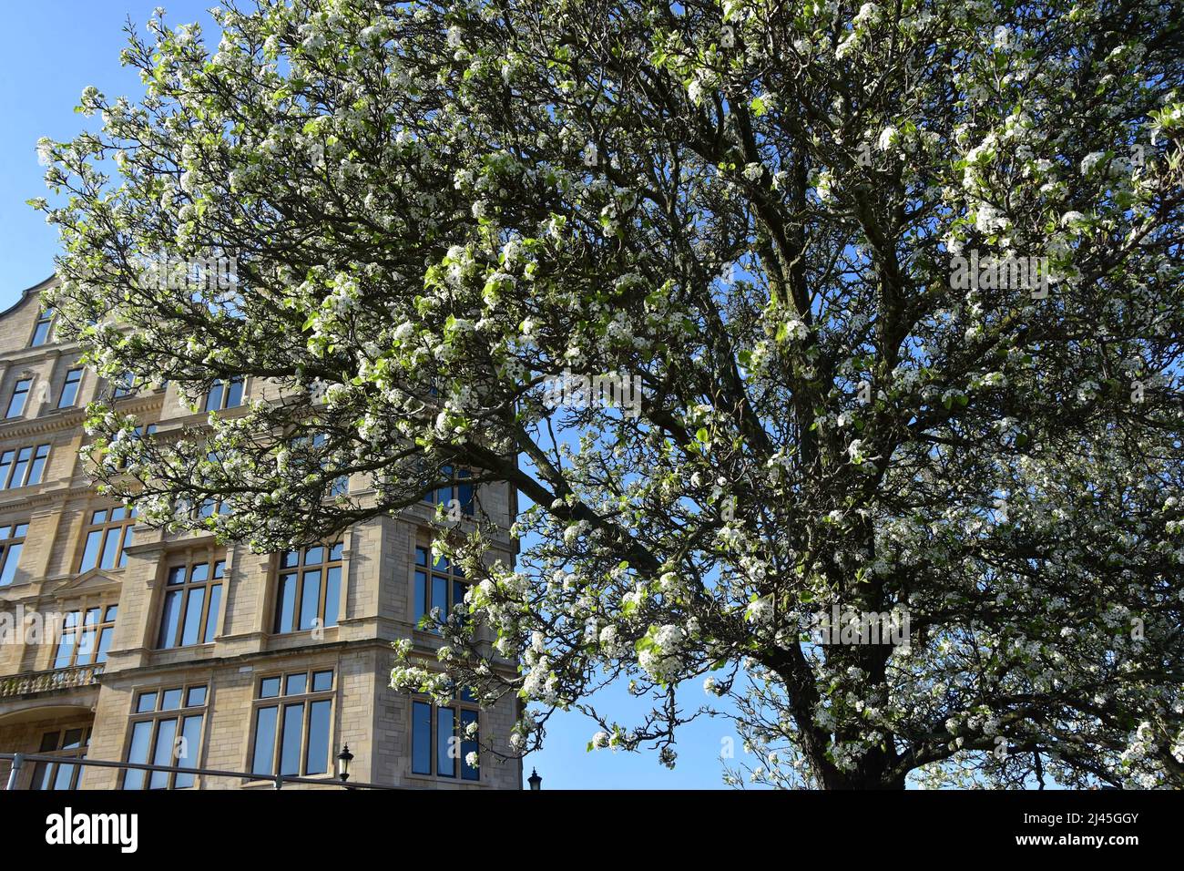 The Empire Hotel, Bath, United Kingdom Stock Photo Alamy