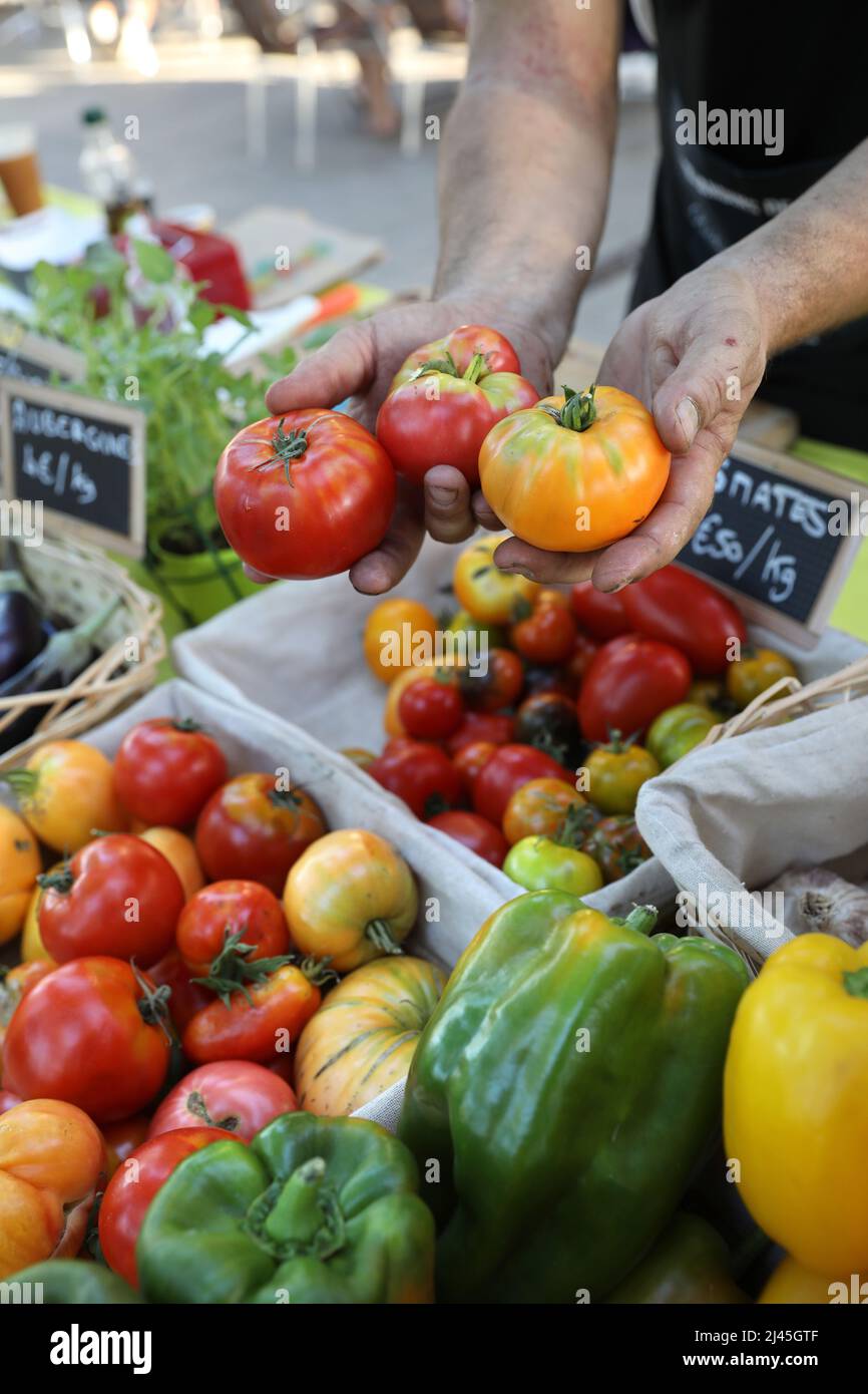 Tomatoes peppers tomato market stall hi-res stock photography and ...