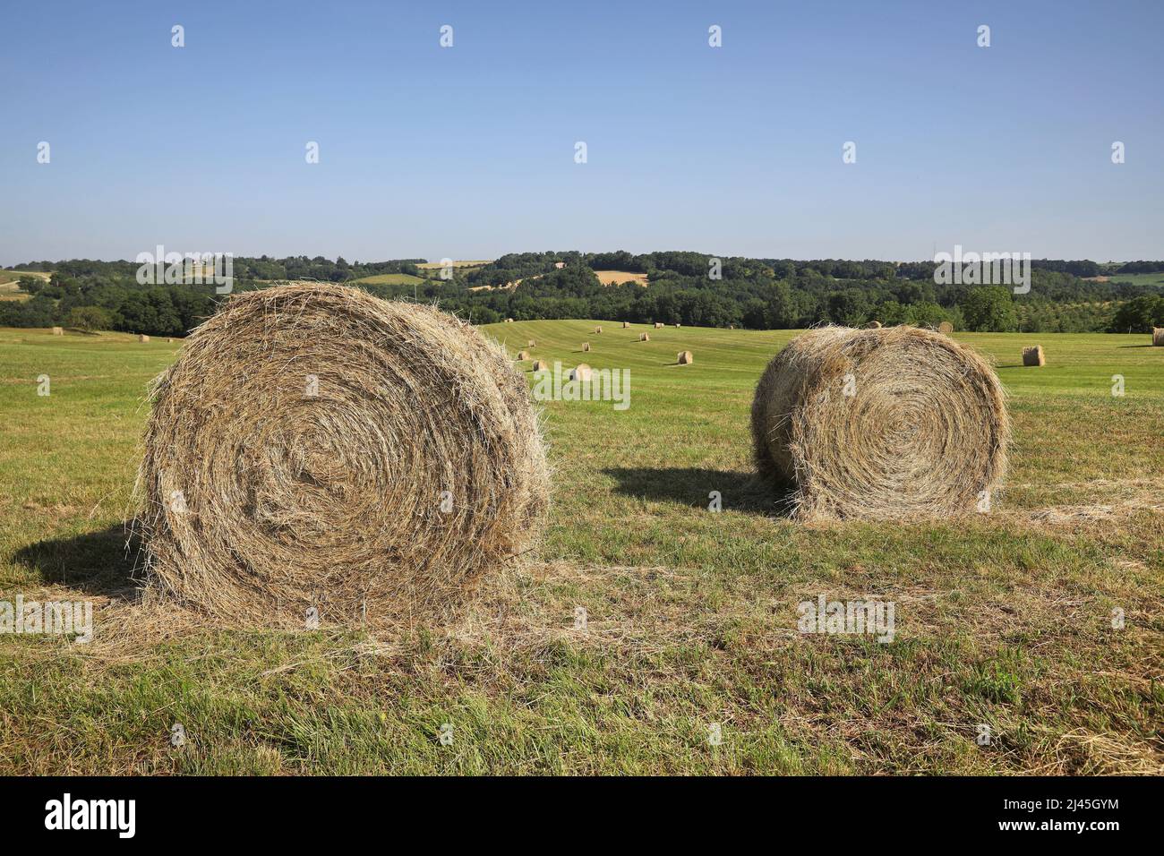 Rural, agricultural landscape in the Pays de Serre area, Quercy blanc (south-western France) Hay bales Stock Photo