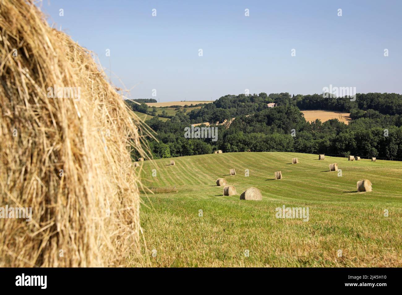 Rural, agricultural landscape in the Pays de Serre area, Quercy blanc (south-western France) Hay bales Stock Photo