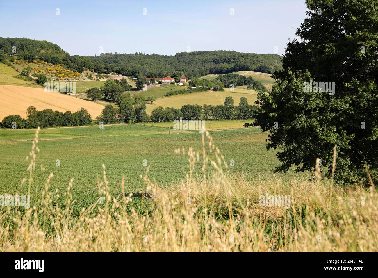 Rural, agricultural landscape of the Mail Valley (south-western France), near Pujols Stock Photo