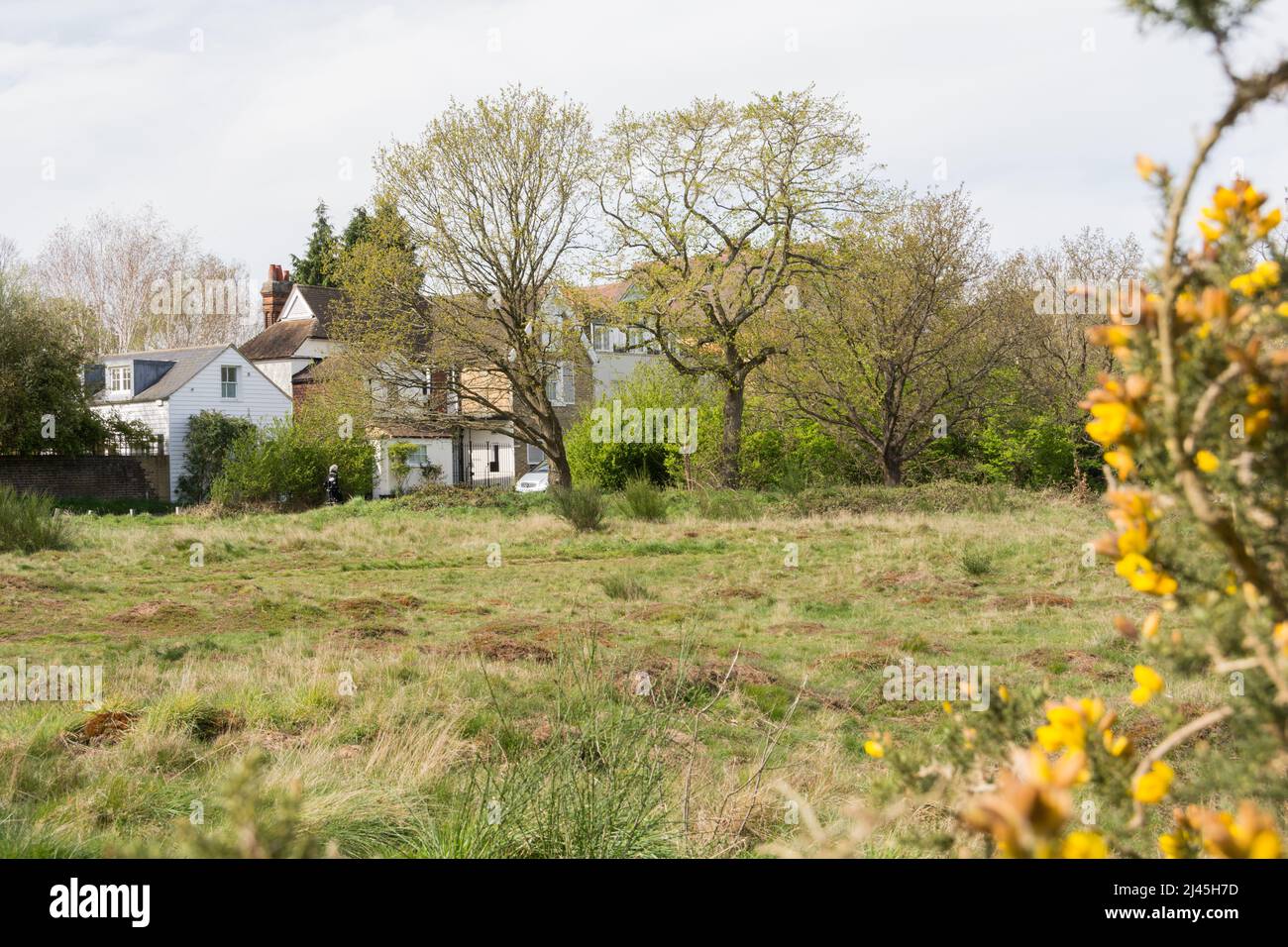 Mill Hill, Barnes, South West London Stock Photo Alamy