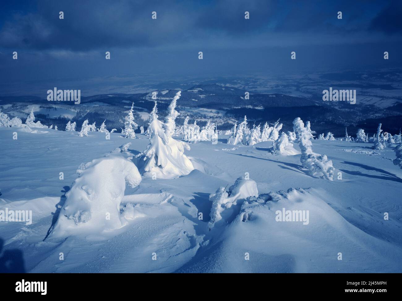 Poland. Scenic winter landscape. Stock Photo