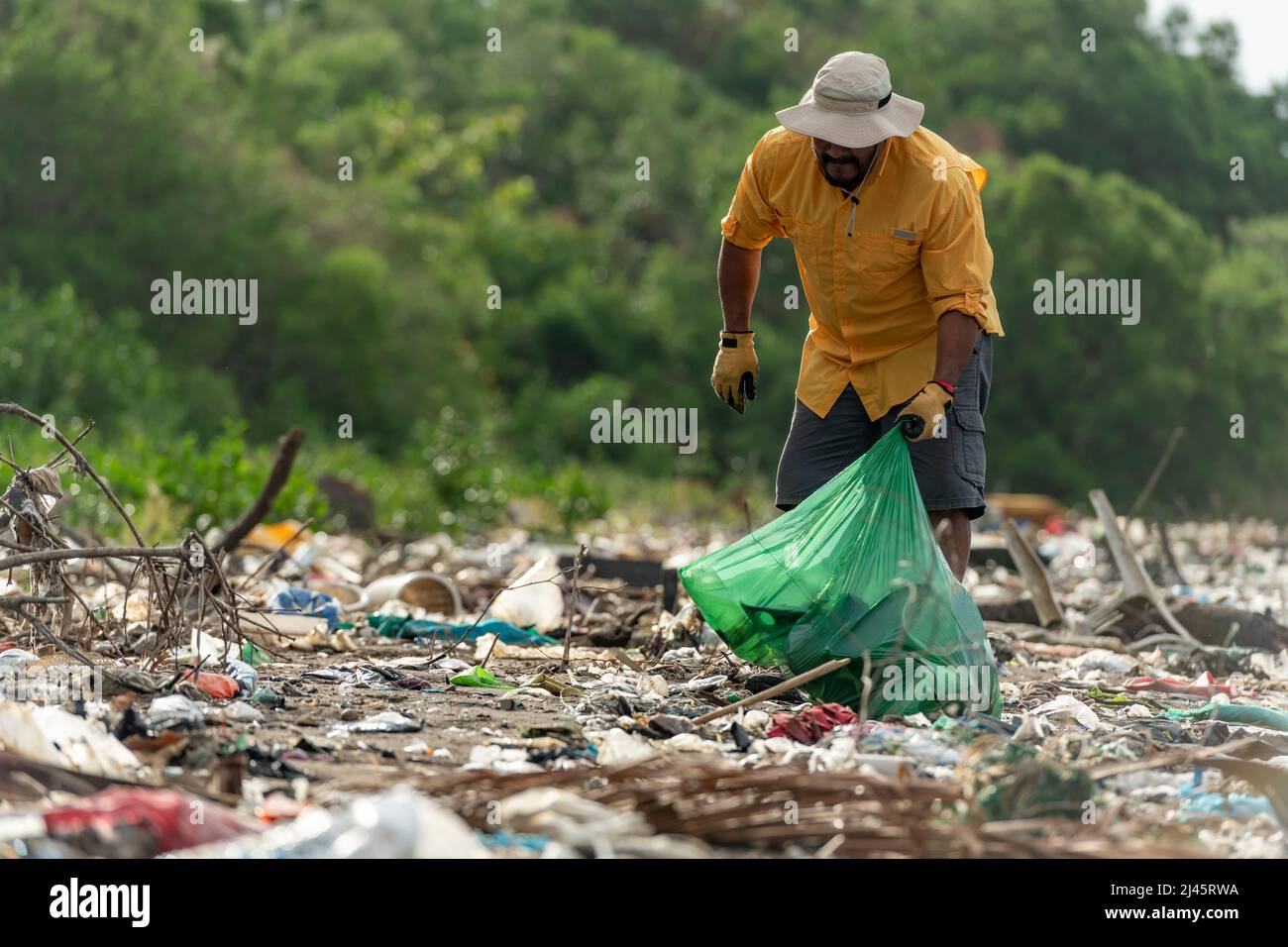 Man picks up plastic garbage on beach in the morning, Panama, Central America. Stock Photo