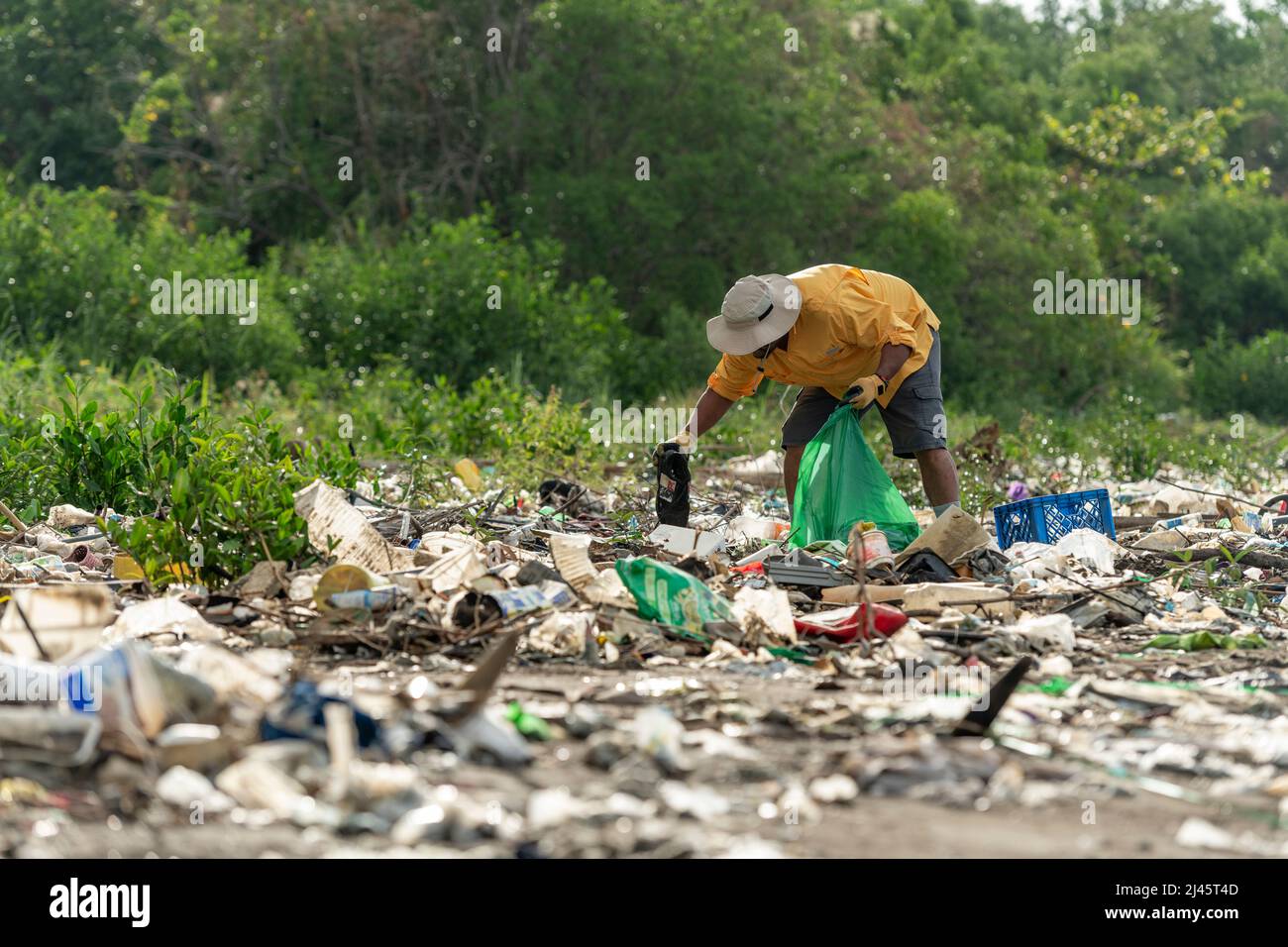 Man picks up plastic garbage on beach in the morning, Panama, Central America. Stock Photo