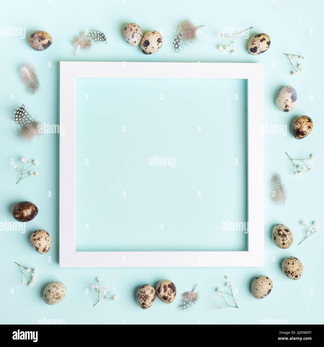 White square frame and of quail eggs, feathers, white gypsophila flowers around it on light blue background. Easter greeting card. Easter decorations. Stock Photo