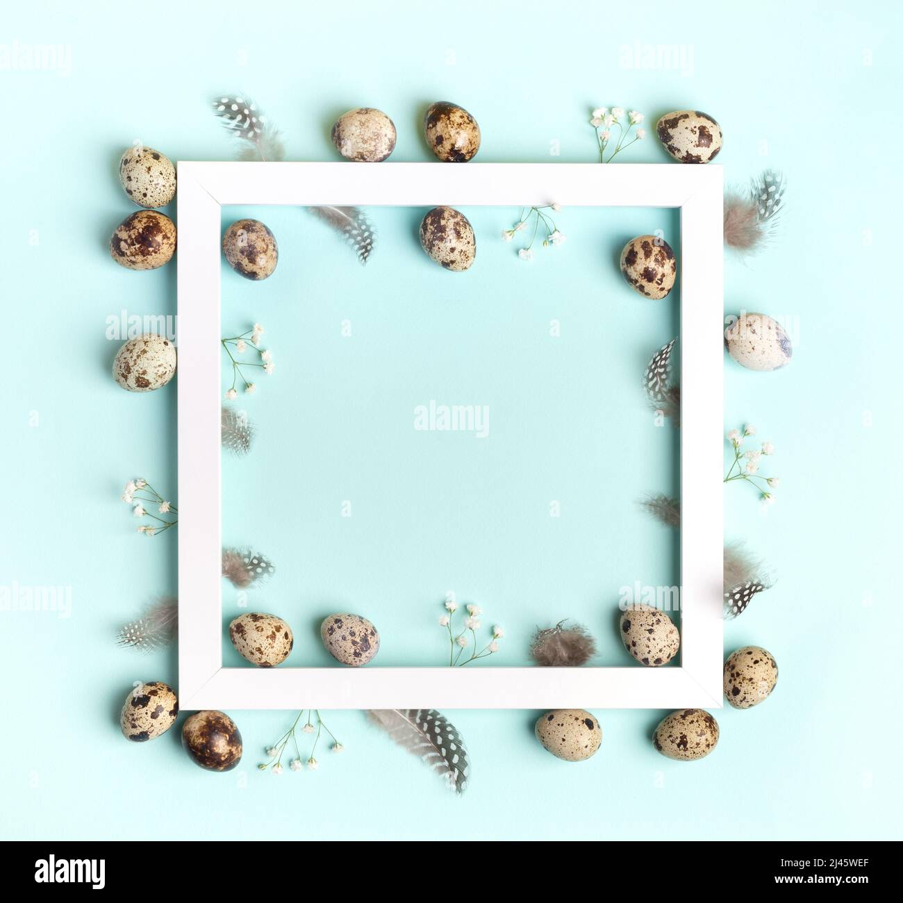Frame of white square frame with quail eggs, feathers, white gypsophila flowers on light blue background. Easter greeting card. Easter decorations ide Stock Photo