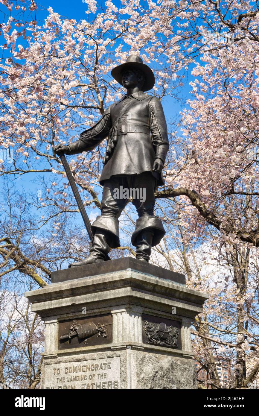 The statue on Pilgrim Hill is surrounded by blossoming Yoshino cherry trees in springtime, New York City, USA  2022 Stock Photo