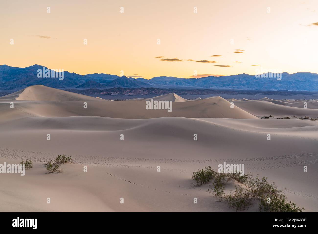 Rolling sand dunes at Mesquite Flats in Death Valley National Park at sunrise Stock Photo
