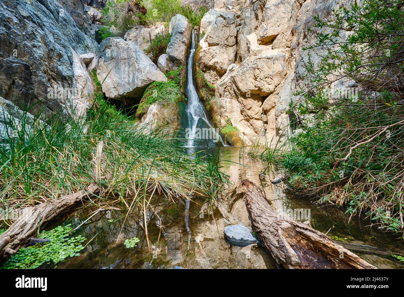 Darwin Falls is a small oasis waterfall near Panamint Springs in Death ...