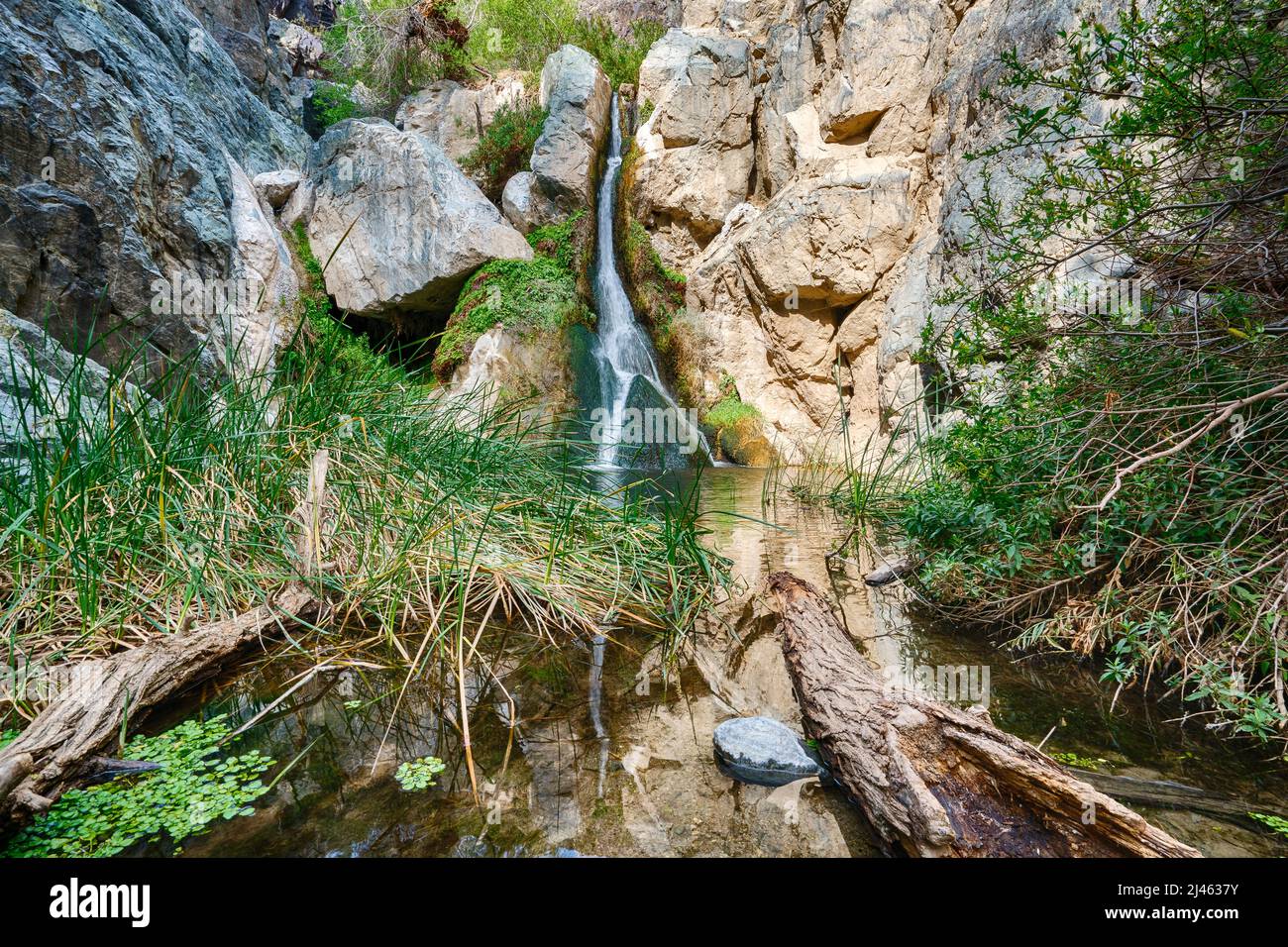 Darwin Falls is a small oasis waterfall near Panamint Springs in Death Valley National Park, California Stock Photo