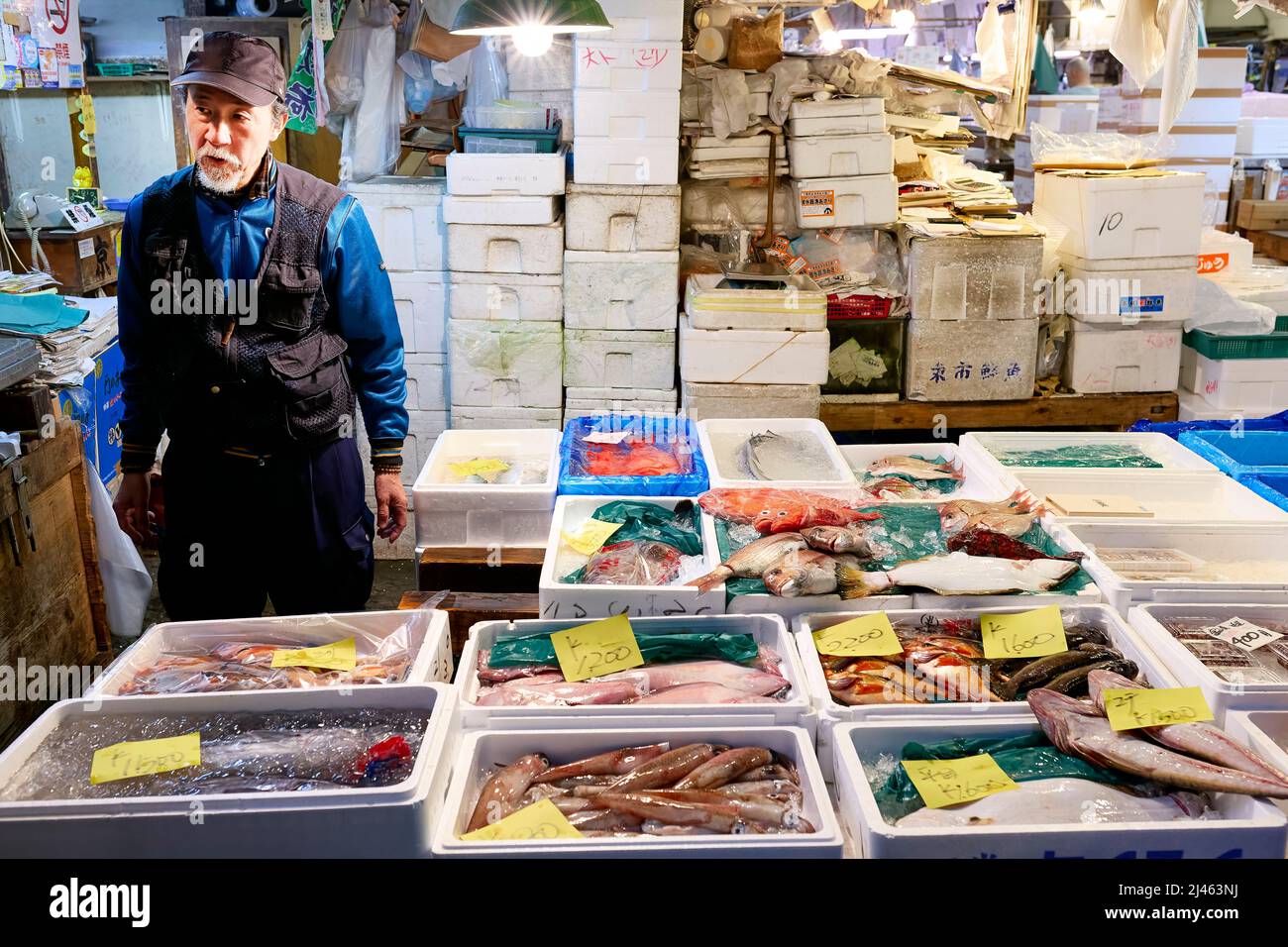 Japan. Tokyo. The Fish Market Stock Photo