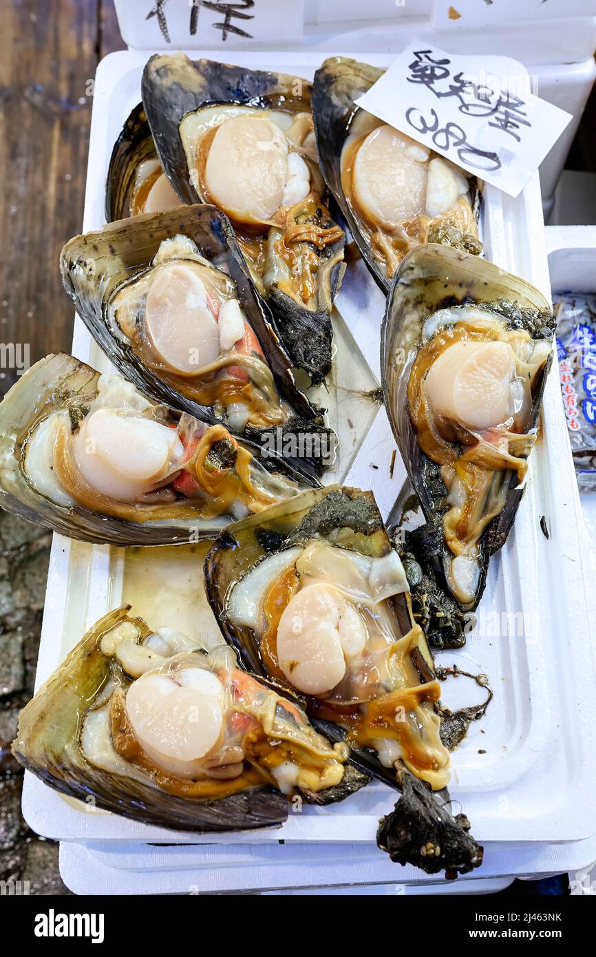 Japan. Tokyo. The Fish Market. Oysters Stock Photo