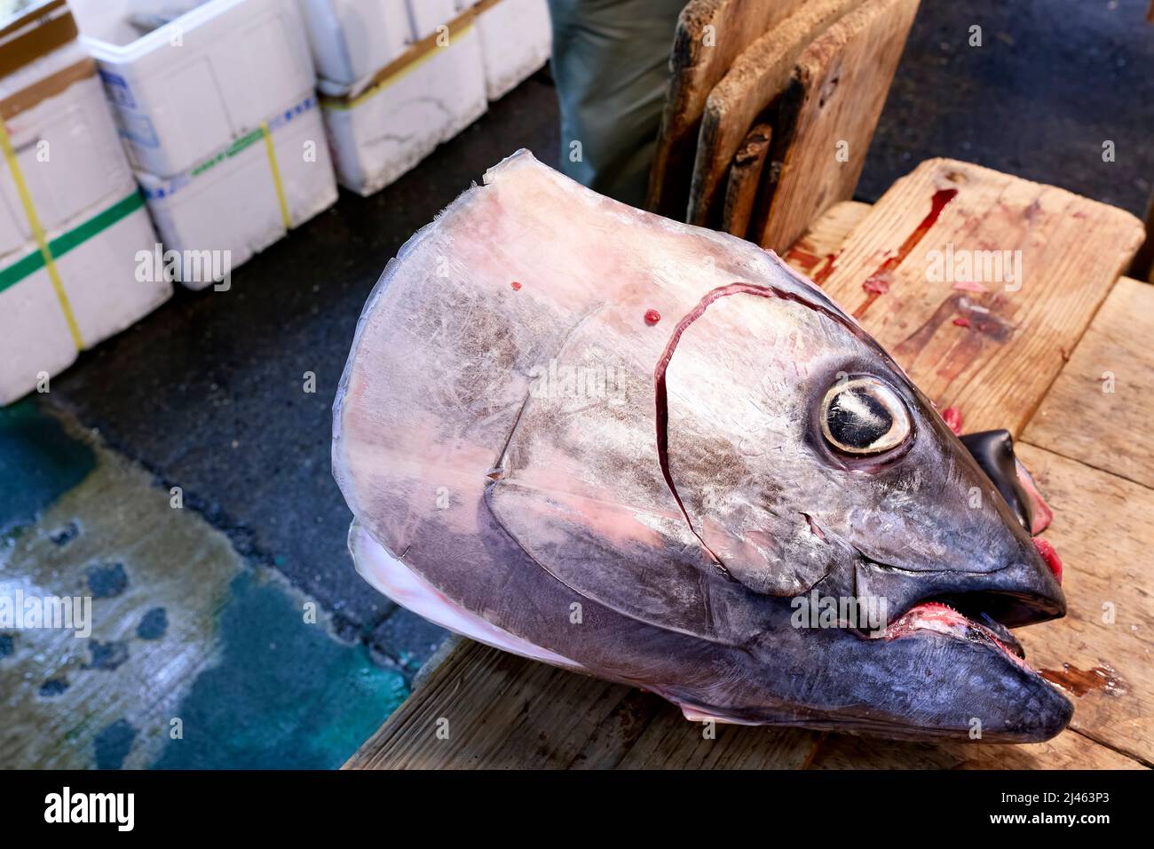 Japan. Tokyo. The Fish Market Stock Photo