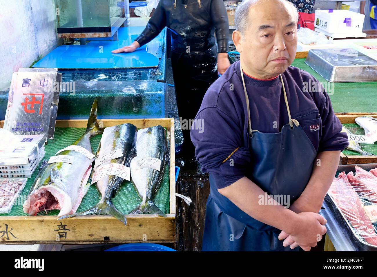 Japan. Tokyo. The Fish Market Stock Photo Alamy