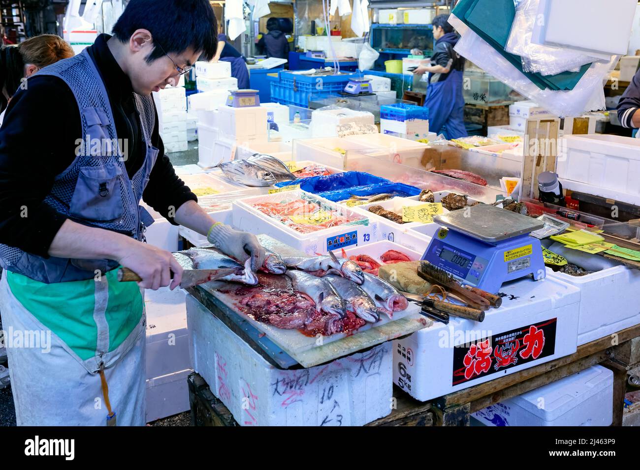 Japan. Tokyo. The Fish Market Stock Photo Alamy