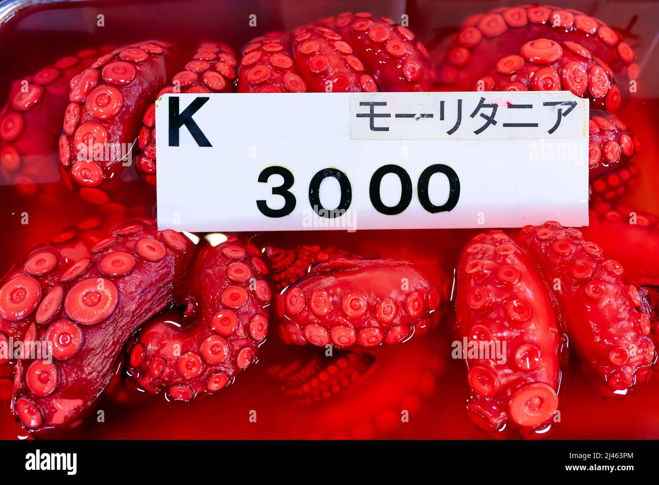 Japan. Tokyo. The Fish Market. Octopus Stock Photo