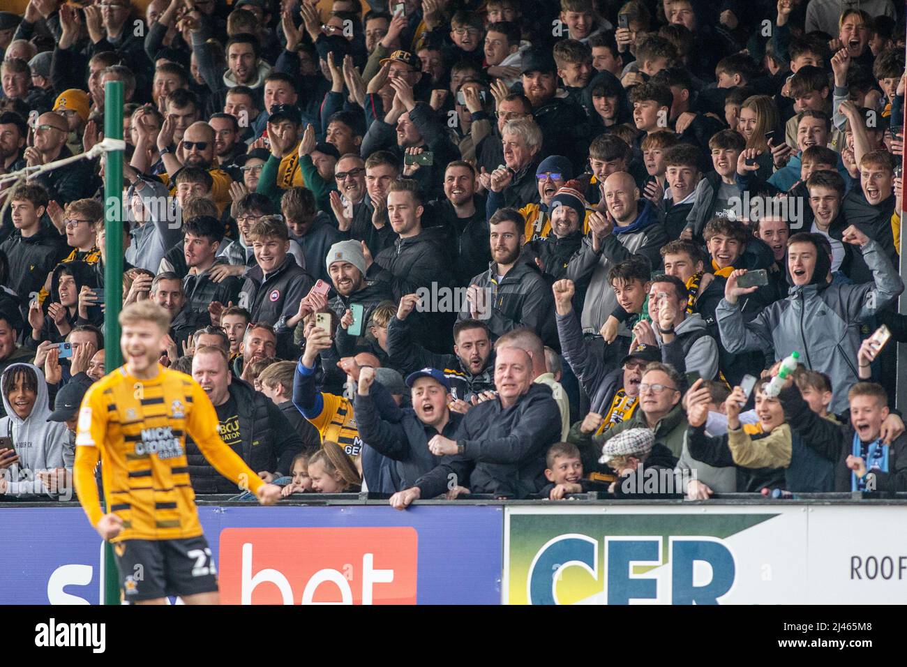 Football fans standing behind the goal and celebrating at lower league  game in England, UK after team score Stock Photo