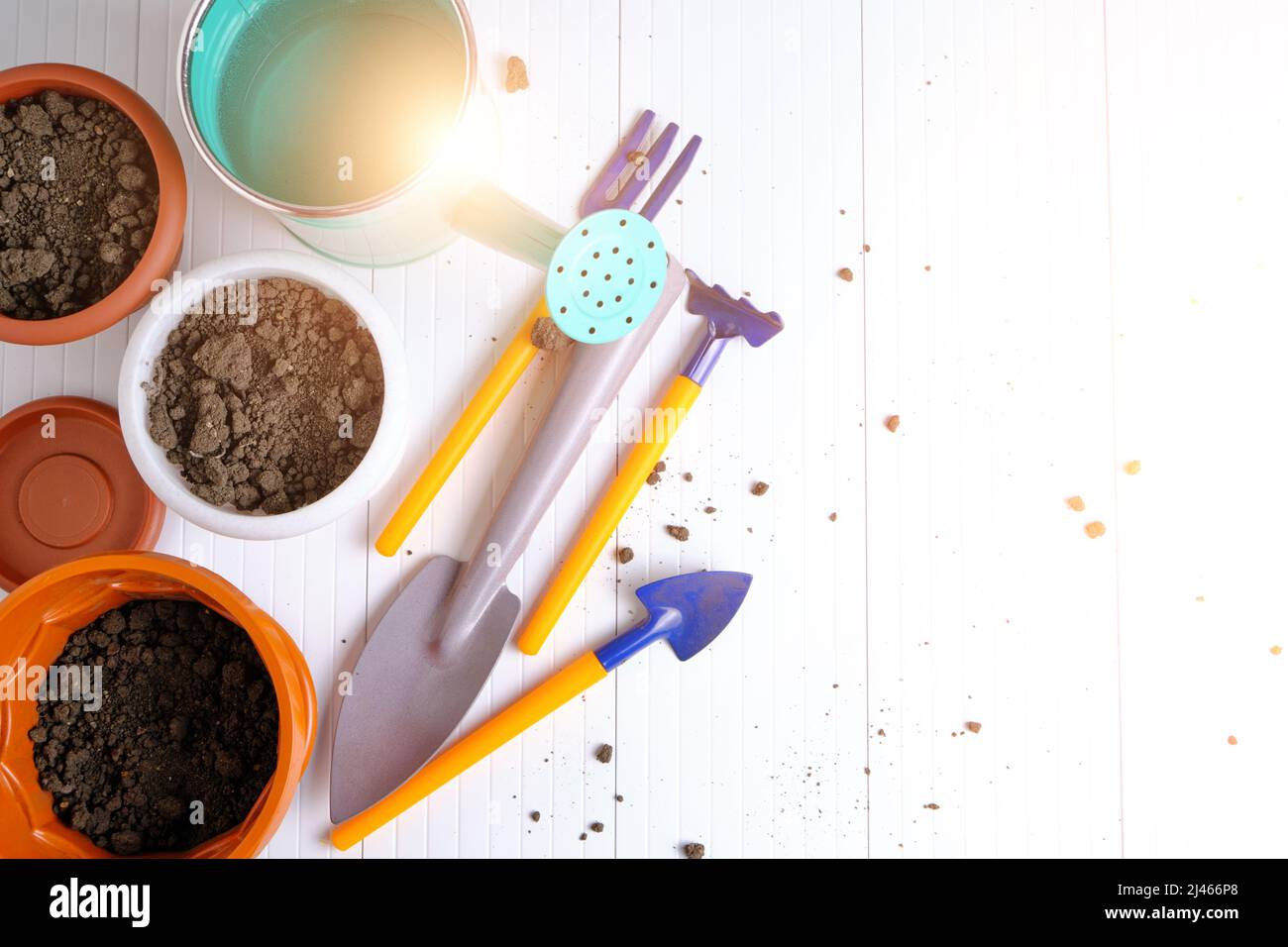 Flower pots, watering can and garden tools on white countertop Stock