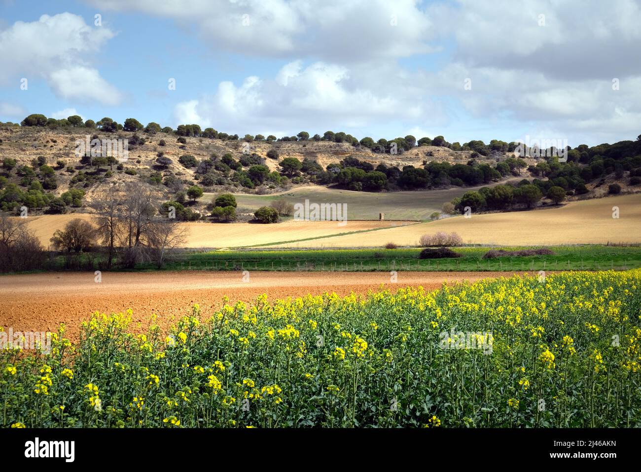 Scenic farmland in countryside near Venialbo, Zamora, Castile and León, Spain Stock Photo