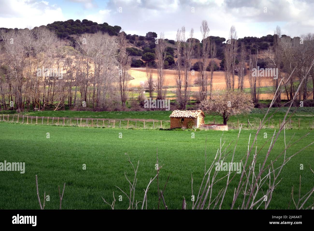 Scenic farmland in countryside near Venialbo, Zamora, Castile and León, Spain Stock Photo