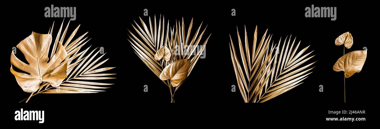 Set of golden palm leaves. Isolated on white Stock Photo - Alamy