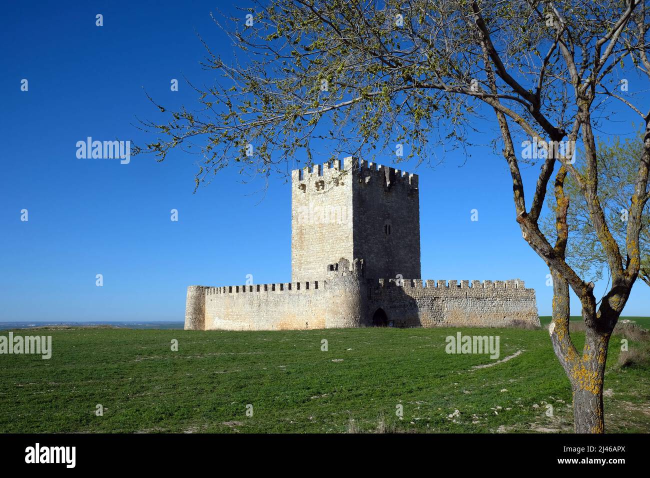 Castle of Tellez de Meneses, Tiedra, Valladolid, Castile and León, Spain Stock Photo