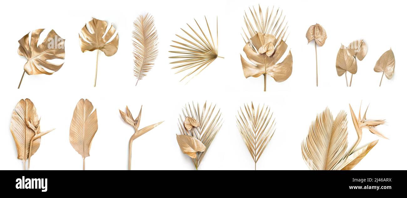 Set of golden palm leaves. Isolated on white Stock Photo - Alamy