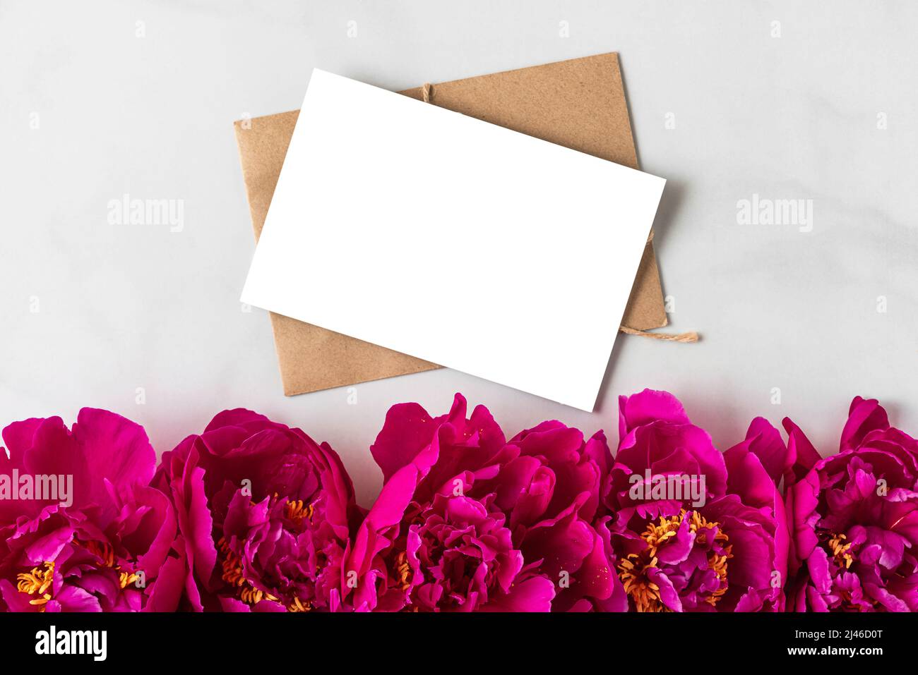 Blank greeting card with pink peony flowers on white background ...