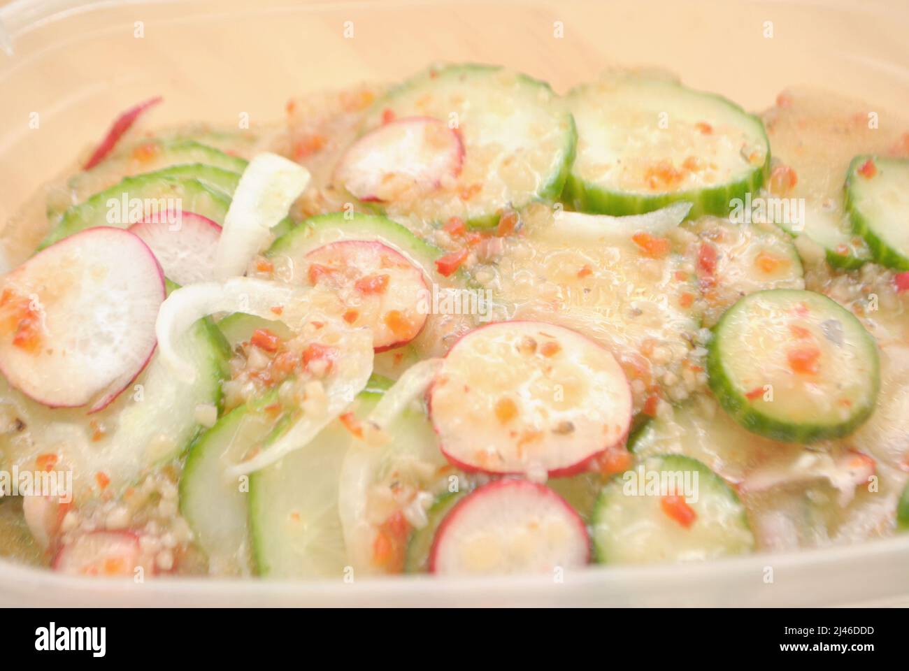 Cucumber Salad with Radishes and Onions Marinated in Italian Dressing