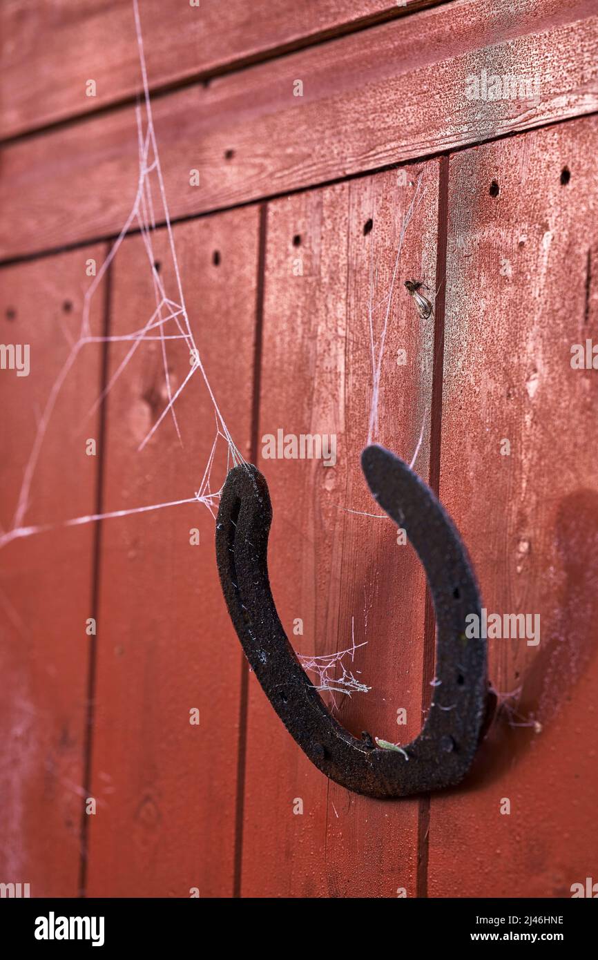 Horse shoe on the shed wall Stock Photo Alamy