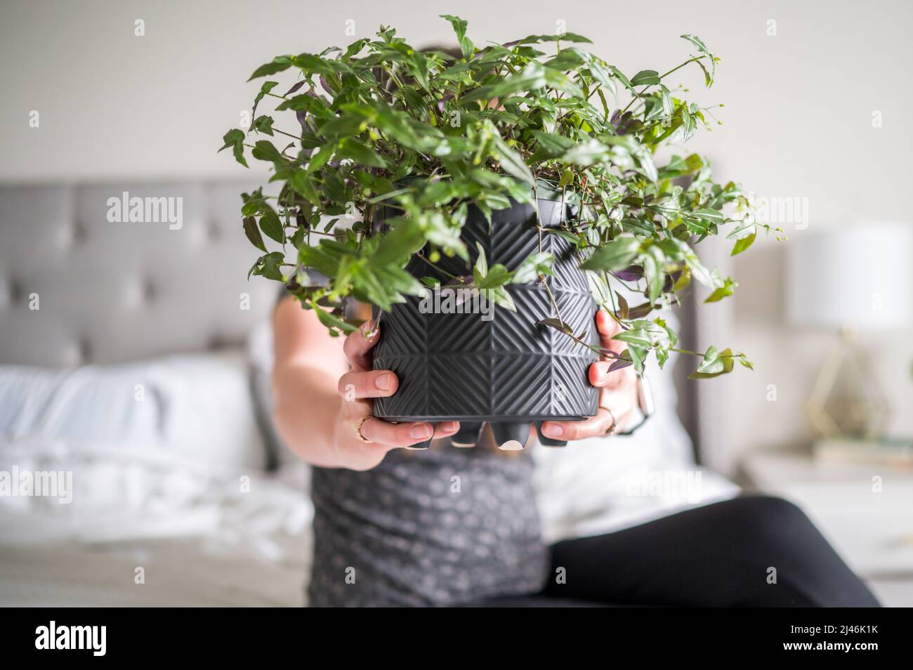 Woman holding plant in front of her body Stock Photo - Alamy