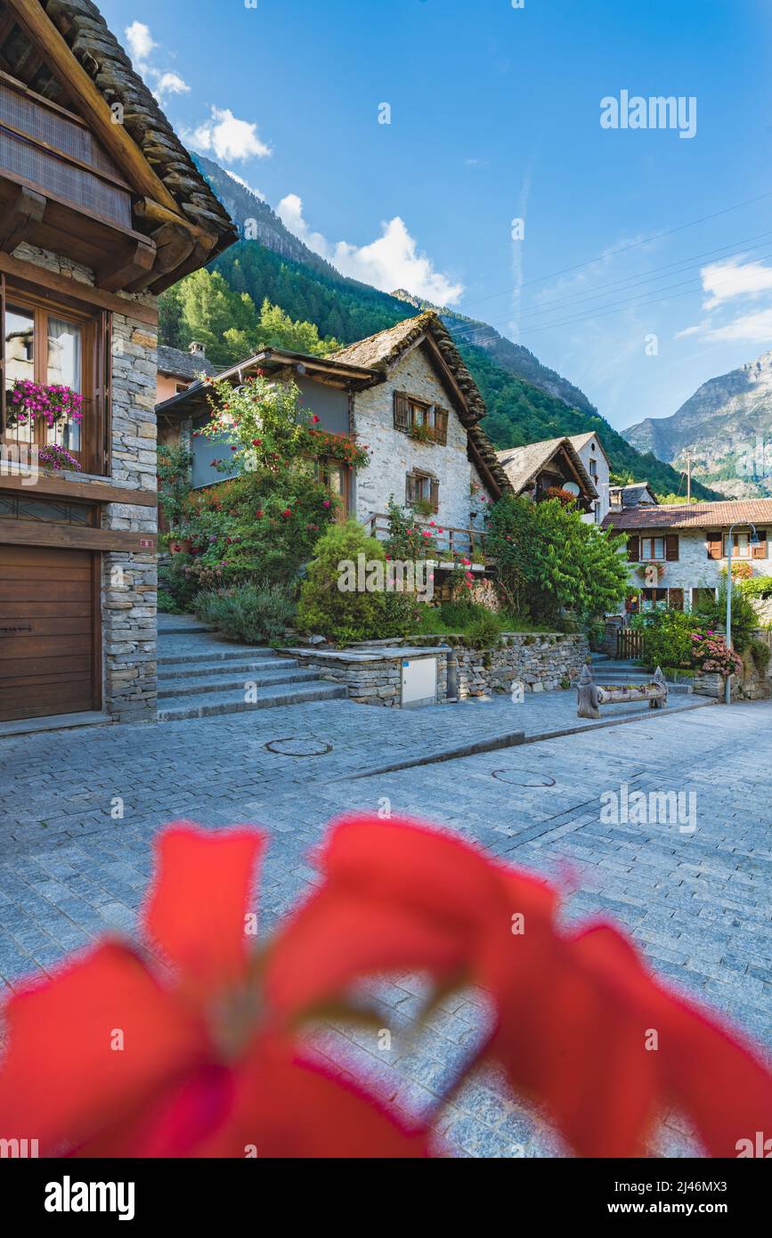 Summer in Sonogno village with blurry red flowers Stock Photo