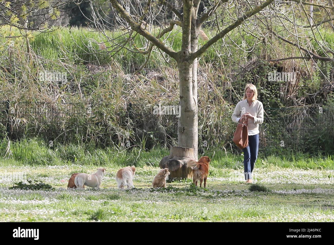 Rome, Italy. 12th Apr, 2022. Rome, Flavia Vento returns to her beloved dogs after having abandoned 'La Pupa and the Nerdy Show'. Credit: Independent Photo Agency/Alamy Live News Stock Photo