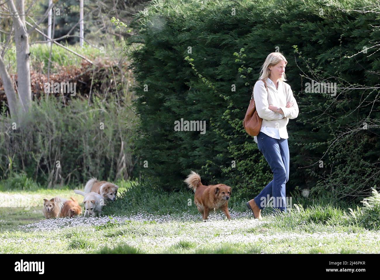 Rome, Italy. 12th Apr, 2022. Rome, Flavia Vento returns to her beloved dogs after having abandoned 'La Pupa and the Nerdy Show'. Credit: Independent Photo Agency/Alamy Live News Stock Photo