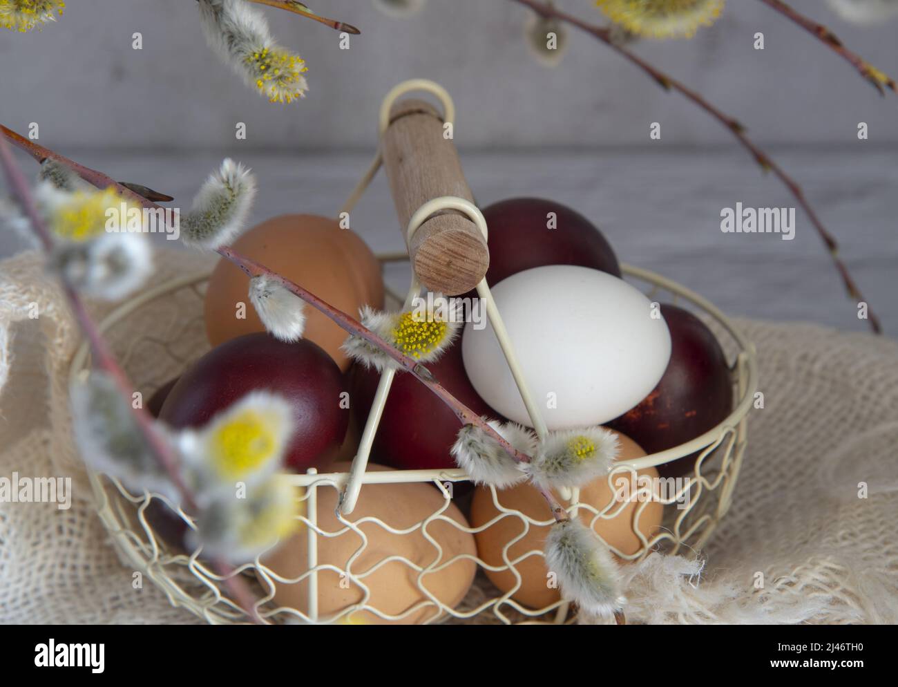 Easter colored eggs and natural eggs lie in a small basket decorated ...