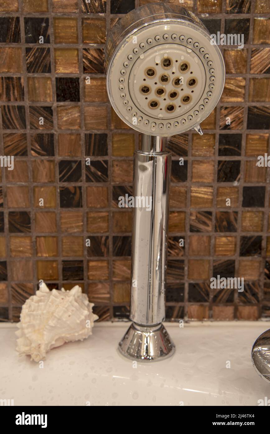 A Shower watering can with water drops, a seashell in the bathroom