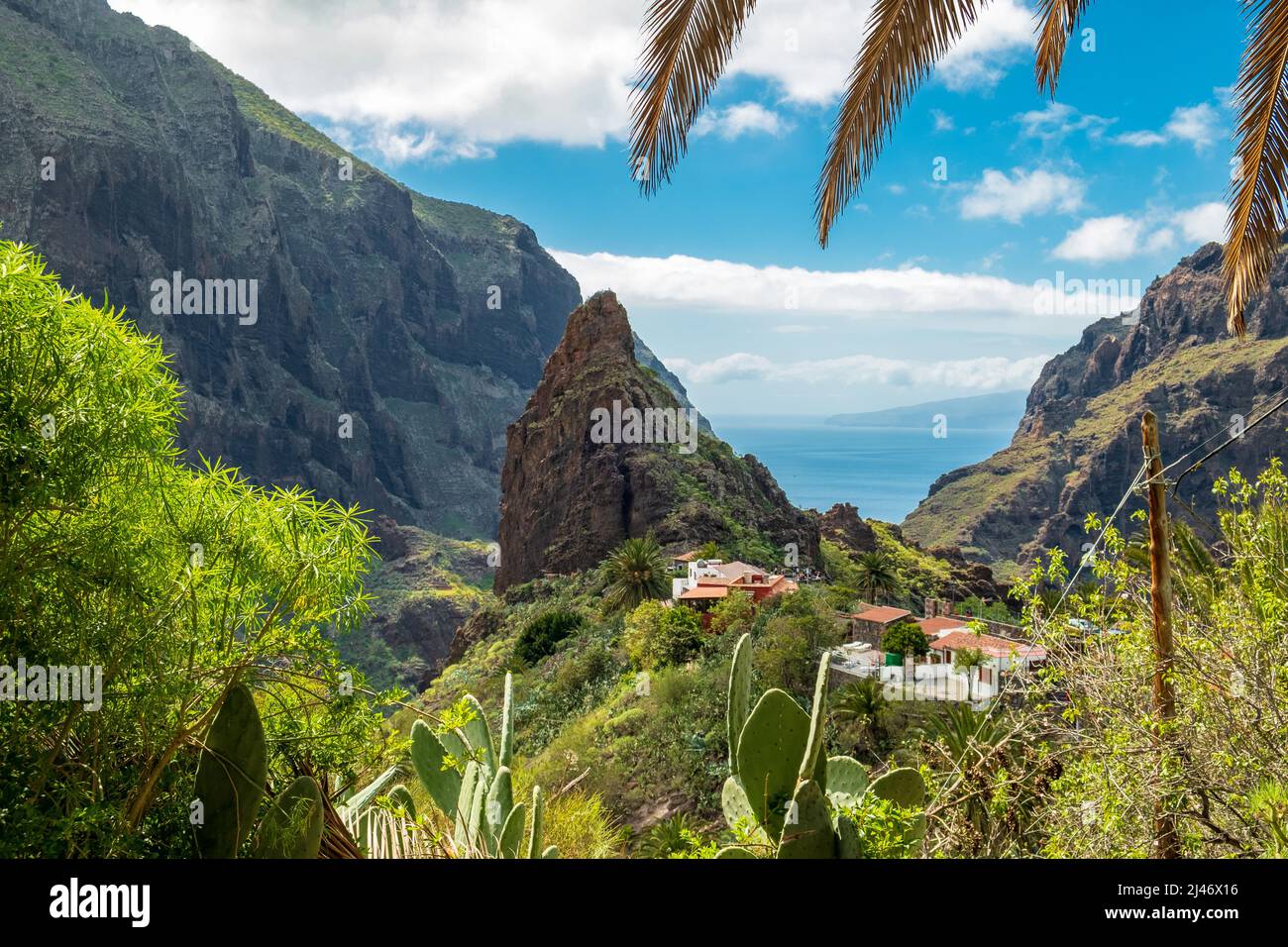 Tremendous Teno mountains at Tenerife north. Palms and cactus framing the photo. Stock Photo
