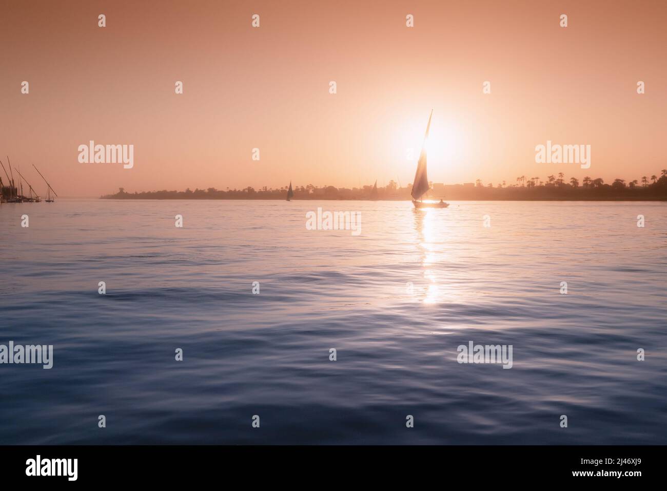 Felucca traditional sailing boat and cruise at the Nile river in Luxor ...