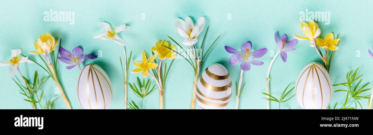 Festive Easter border, frame from easter eggs and spring flower crocus on blue background. Stylish easter flat lay blue, Stock Photo