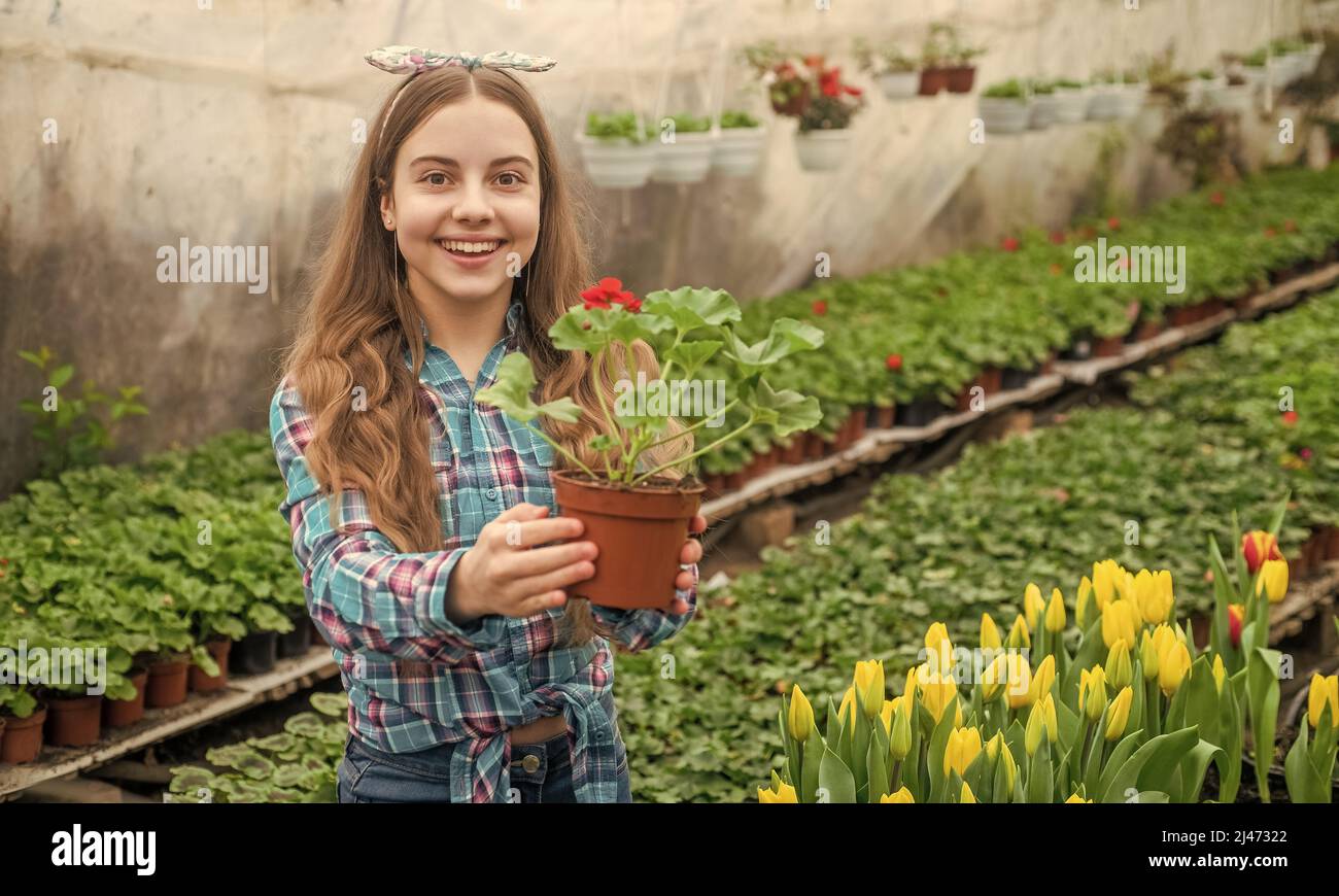 Hothouse arboretum hi-res stock photography and images - Alamy