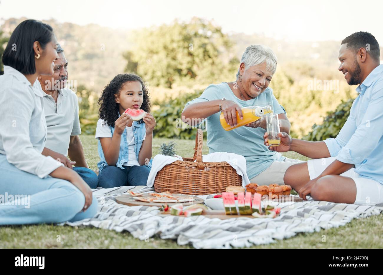 I look at you and Im home. Shot of a family enjoying a picnic in a park. Stock Photo