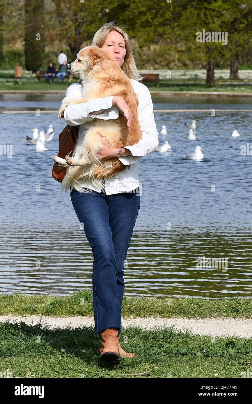 Rome, Italy. 12th Apr, 2022. Rome, Flavia Vento returns to her beloved dogs after having abandoned 'La Pupa and the Nerdy Show'. Credit: Independent Photo Agency/Alamy Live News Stock Photo