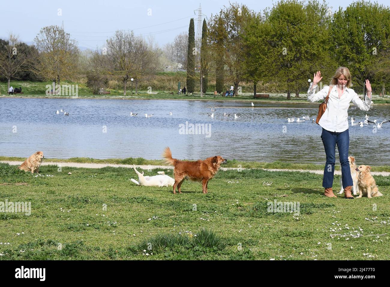 Rome, Italy. 12th Apr, 2022. Rome, Flavia Vento returns to her beloved dogs after having abandoned 'La Pupa and the Nerdy Show'. Credit: Independent Photo Agency/Alamy Live News Stock Photo