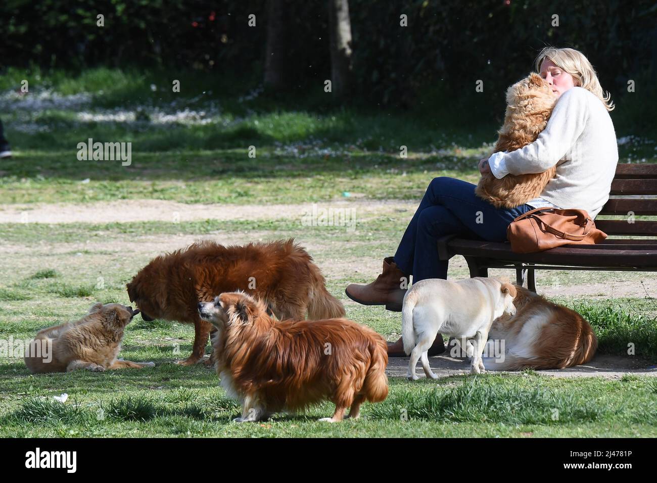 Rome, Italy. 12th Apr, 2022. Rome, Flavia Vento returns to her beloved dogs after having abandoned 'La Pupa and the Nerdy Show'. Credit: Independent Photo Agency/Alamy Live News Stock Photo